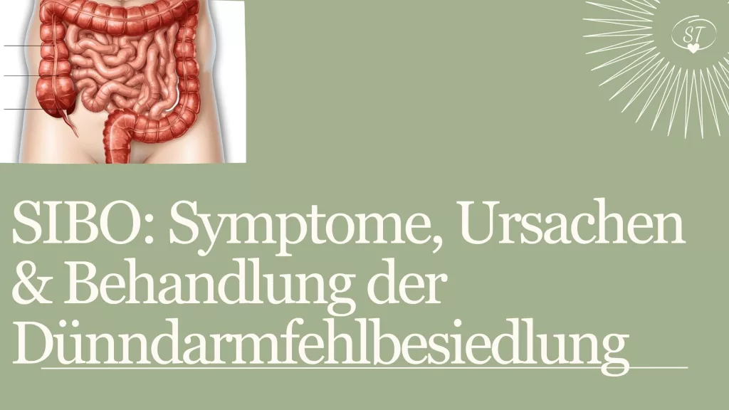 Dünndarmfehlbesiedlung SIBO mit Symptomen wie Blähbauch und Bauchschmerzen