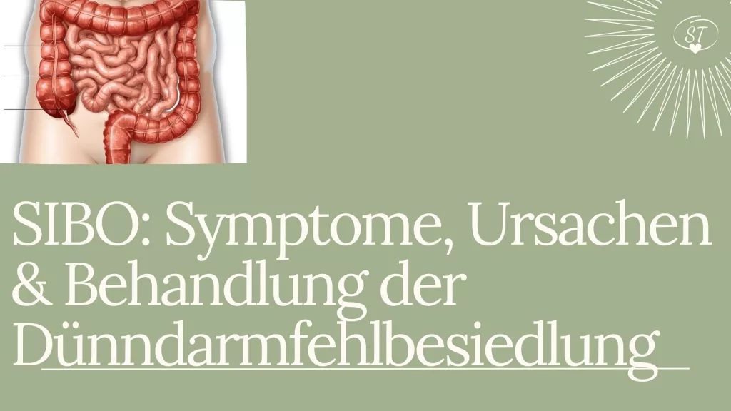 SIBO: Symptome, Ursachen & Behandlung der Dünndarmfehlbesiedlung